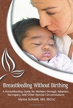 Breastfeeding Without Birthing Book Cover