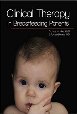 Clinical Therapy in Breastfeeding Patients Book Cover