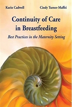 Continuity of Care in Breastfeeding: Best Practices in the Maternity Setting