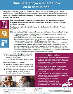 Fact Sheet Home Visit Spanish