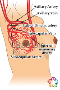 Blood Supply Sample