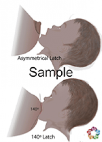 Latch Sample