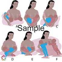 Twin Breastfeeding Positions Sample